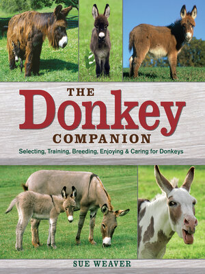 cover image of The Donkey Companion